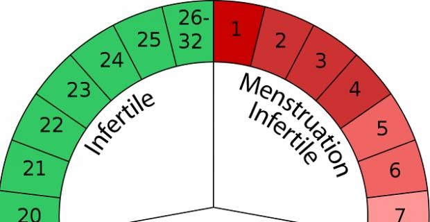 Ciclo irregolare: posso rimanere incinta? | DireDonna