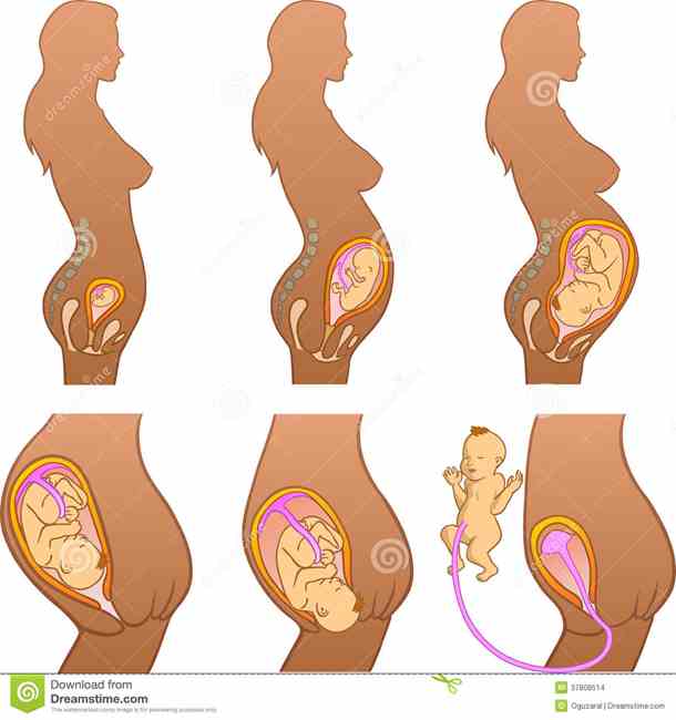 symptom gravid symptom gravid