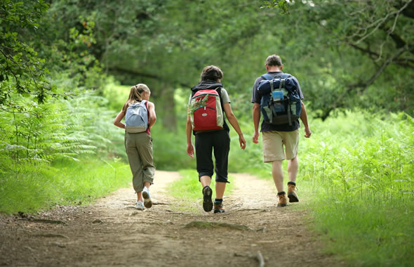 tre persone che camminano nel bosco