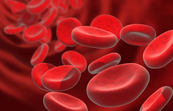 Anemia e globuli rossi