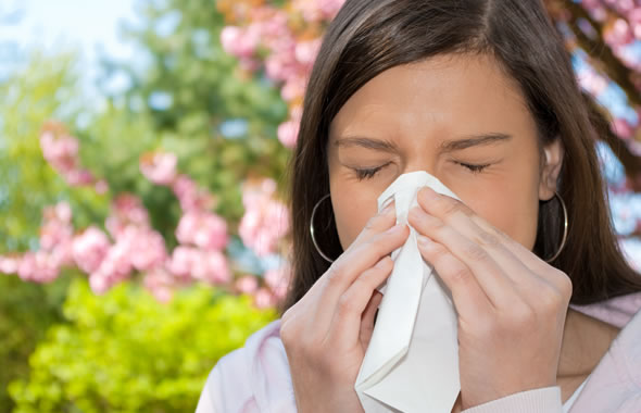 Influenza 2012