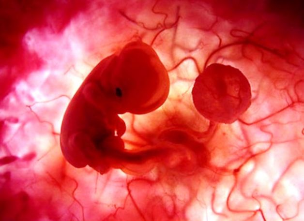 18 settimane di dolore osseo pelvico in gravidanza