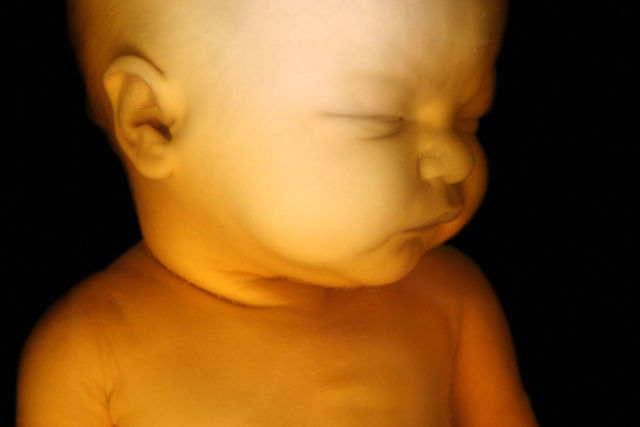 bambino nel pancione