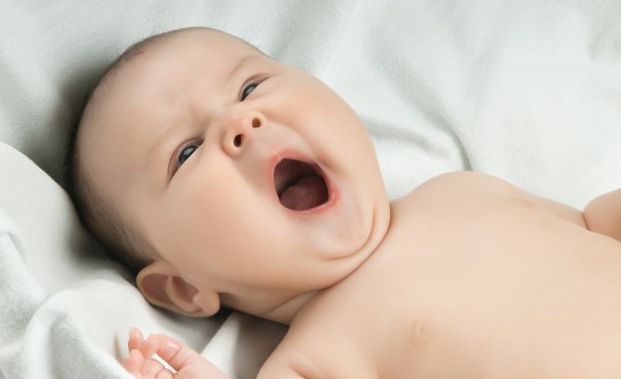 bambino