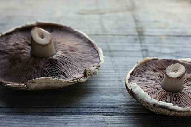 Funghi In Gravidanza Divieti Fondati O Solo Paure Infondate